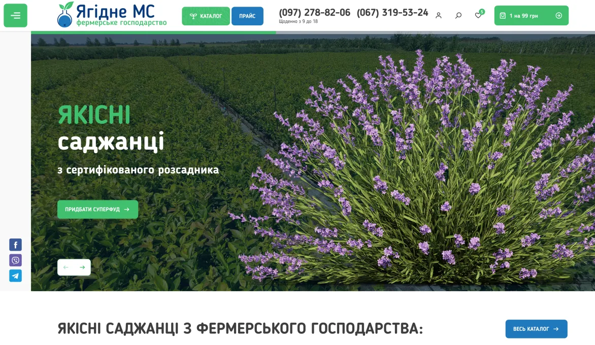 ™ Глянец, студия веб-дизайна - Магазины и каталоги товаров_13