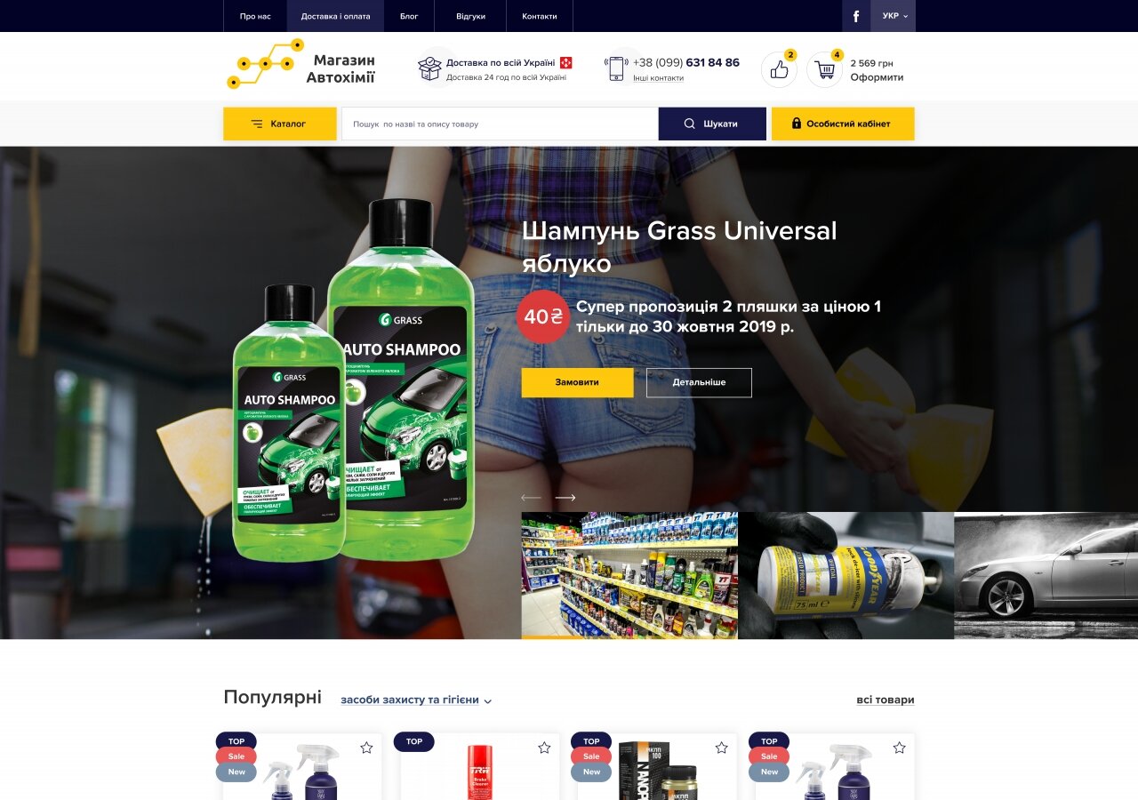 site development Online store of auto chemical goods