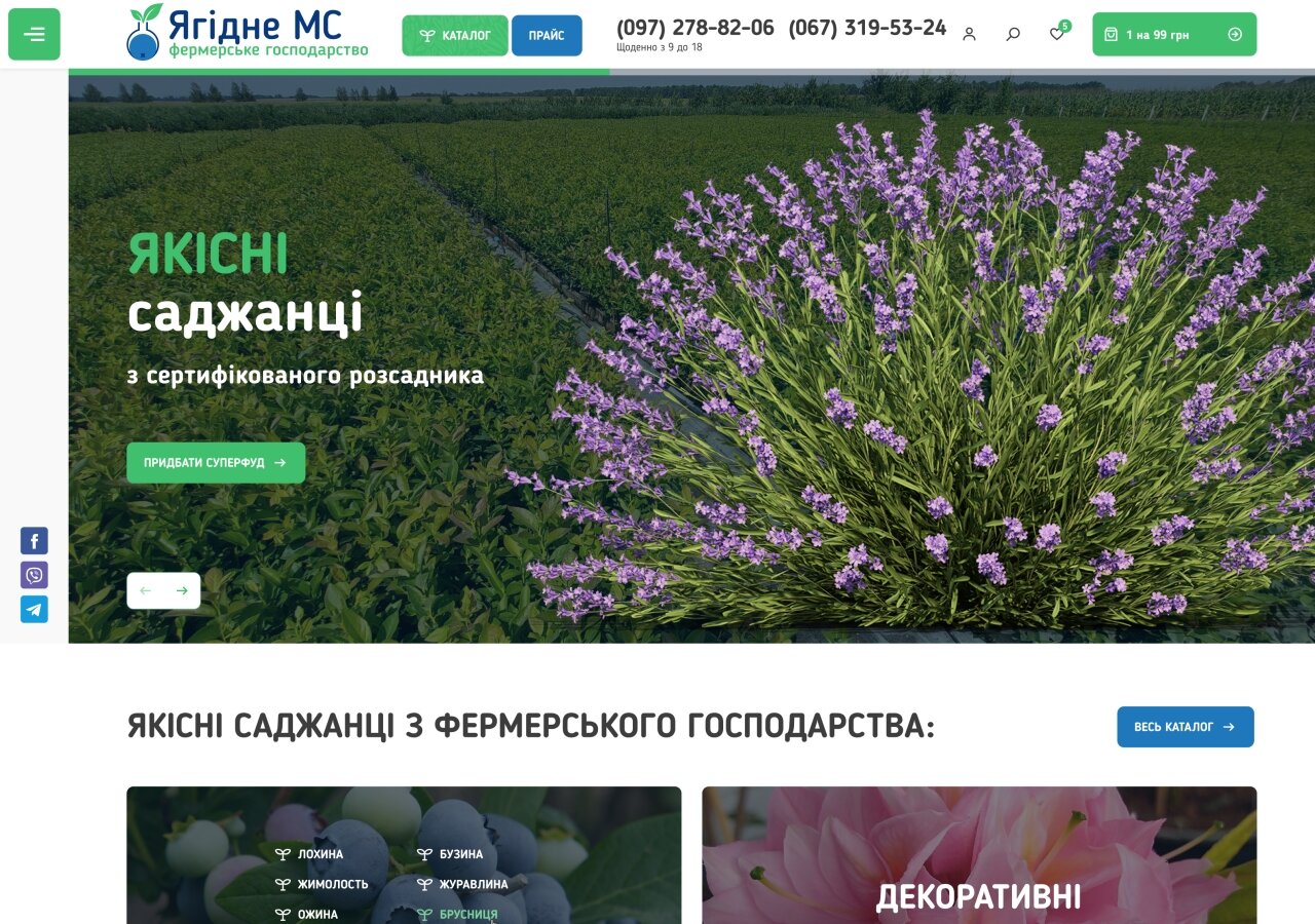 Online store for "Yagidne" farm On tablet