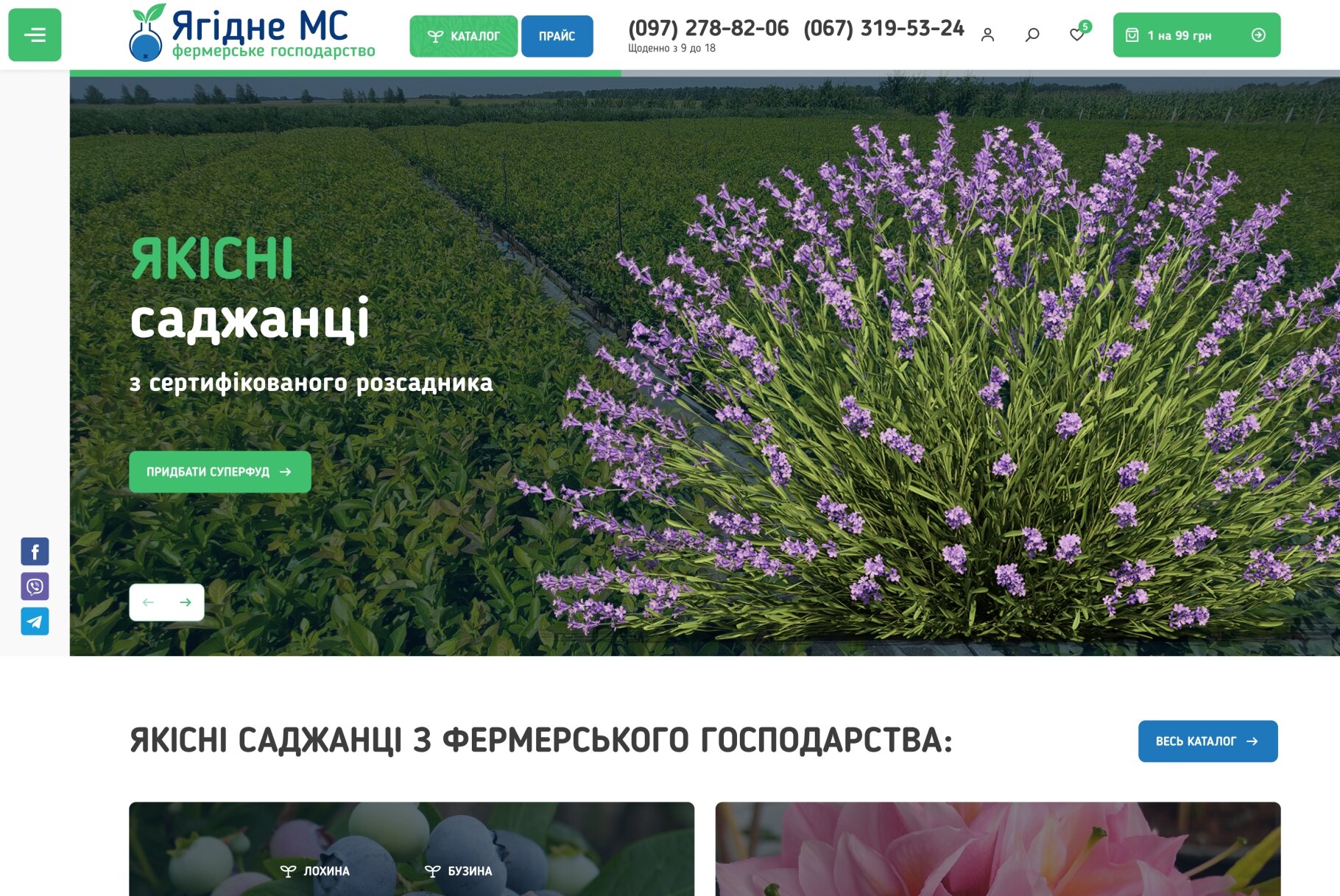 ™ Глянець, студія веб-дизайну — Online store for &quot;Yagidne&quot; farm_2