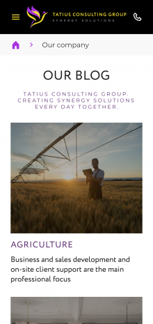 ™ Глянець, студія веб-дизайну — Промо-сайт Tatius Consulting Group_13