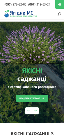 ™ Глянець, студія веб-дизайну — Інтернет-магазин для фермерського господарства «Ягідне»_8