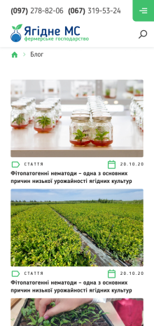 ™ Глянець, студія веб-дизайну — Online store for &quot;Yagidne&quot; farm_11