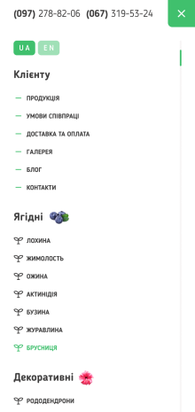 ™ Глянець, студія веб-дизайну — Інтернет-магазин для фермерського господарства «Ягідне»_18