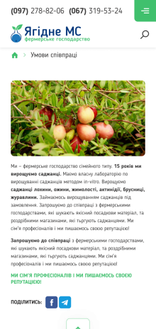 ™ Глянець, студія веб-дизайну — Інтернет-магазин для фермерського господарства «Ягідне»_26