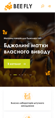 ™ Глянець, студія веб-дизайну — Sklep internetowy firmy BeeFly_9