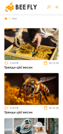 ™ Глянец, студия веб-дизайна - Интернет-магазин для компании BeeFly_11