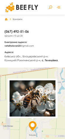 ™ Глянець, студія веб-дизайну — Sklep internetowy firmy BeeFly_15