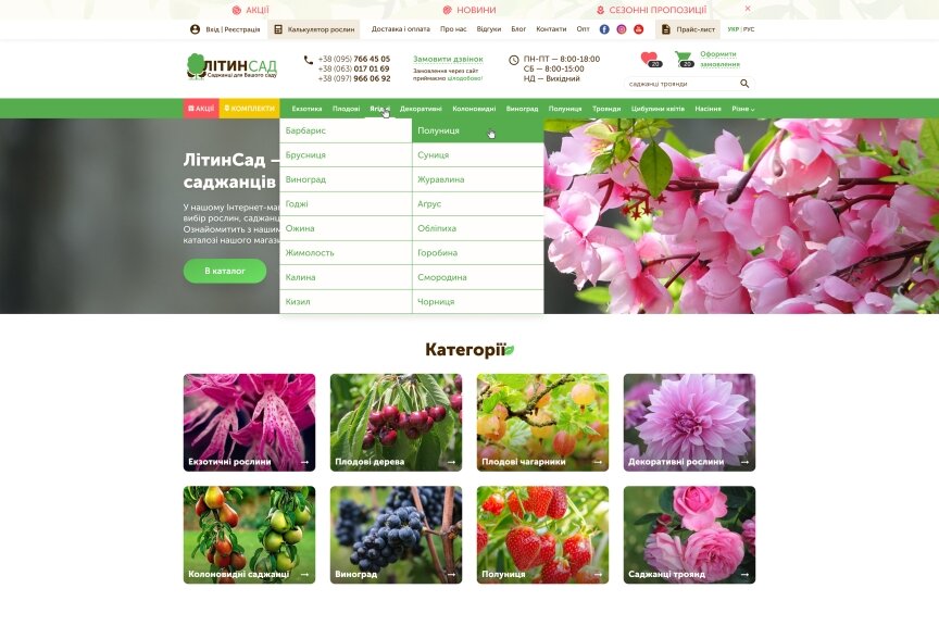 interior page design on the topic Agrarian industry — Online shop for Litinsad company 0