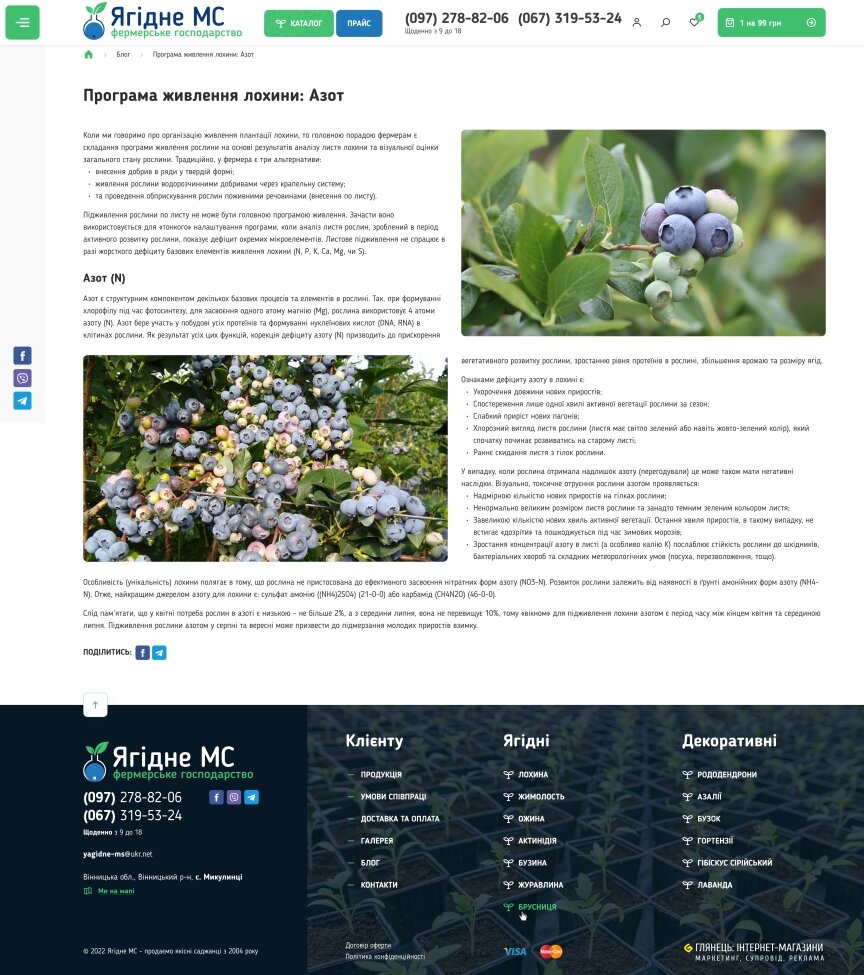 interior page design on the topic Business and company — Online store for "Yagidne" farm 4