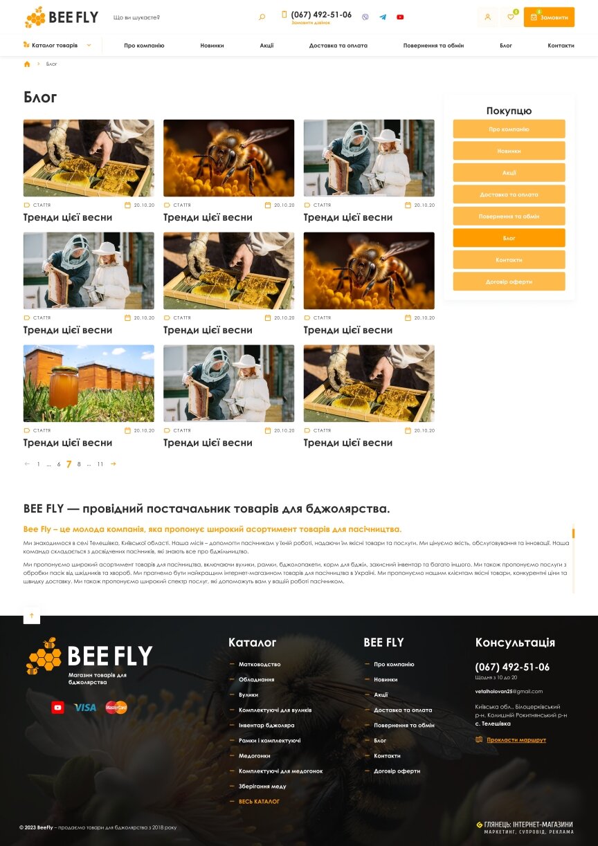 interior page design on the topic Business and company — Online store for the BeeFly company 1