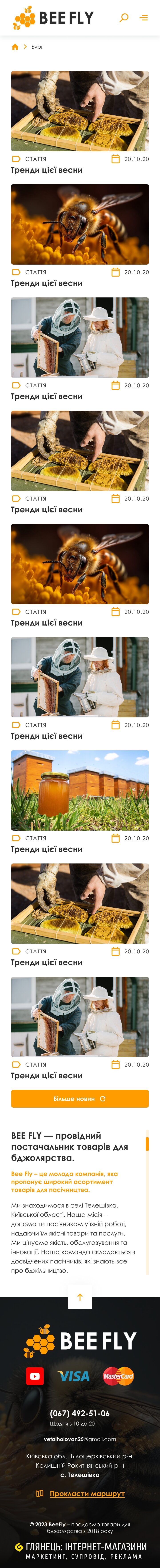 ™ Глянець, студія веб-дизайну — Online store for the BeeFly company_29