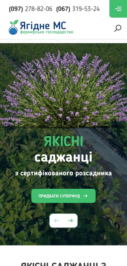 ™ Глянець, студія веб-дизайну — Online store for &quot;Yagidne&quot; farm_1