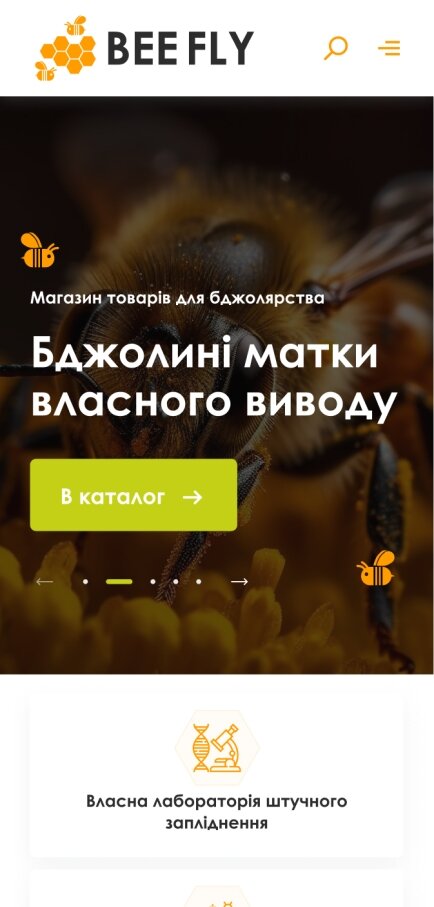 ™ Глянець, студія веб-дизайну — Інтернет-магазин для компанії BeeFly_1