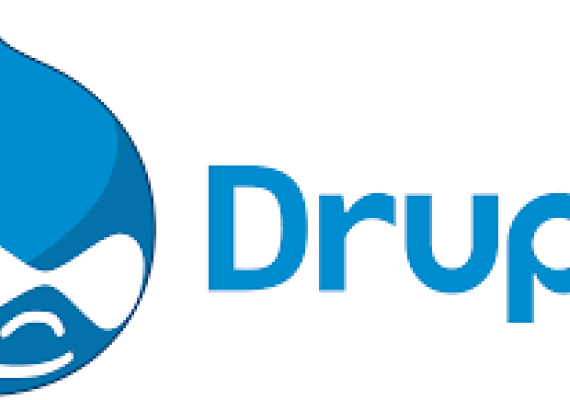 Strony internetowe stworzone na Drupal